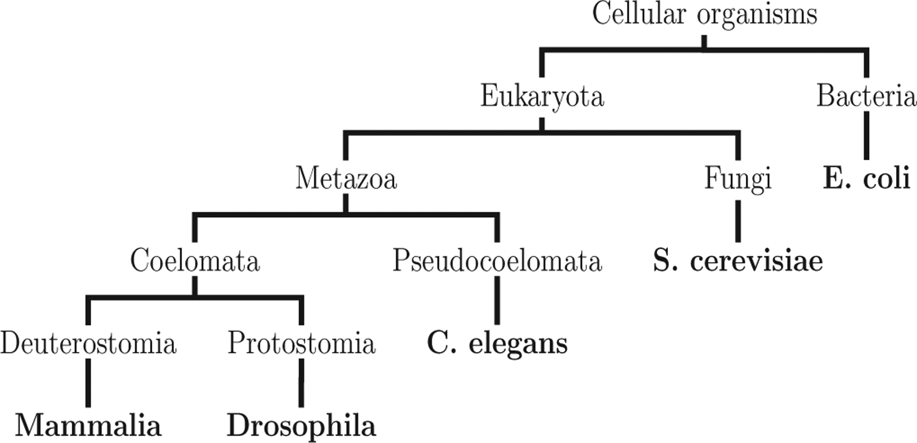 FIG. 8.