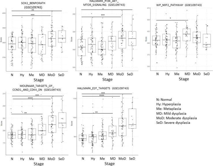 Figure 7—figure supplement 1.