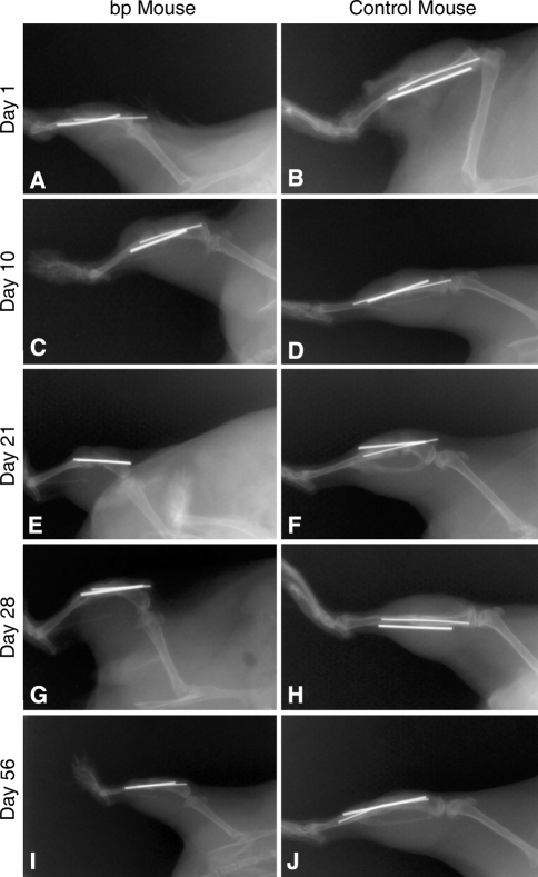 Fig. 4A–J