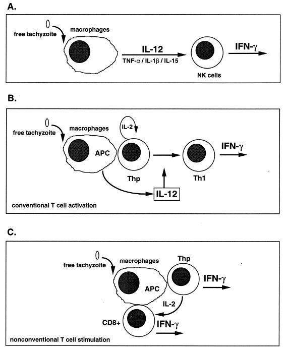 FIG. 4