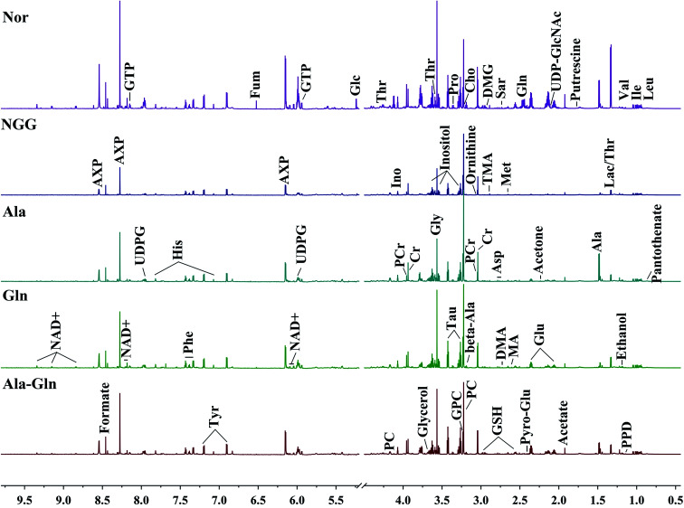 Fig. 2