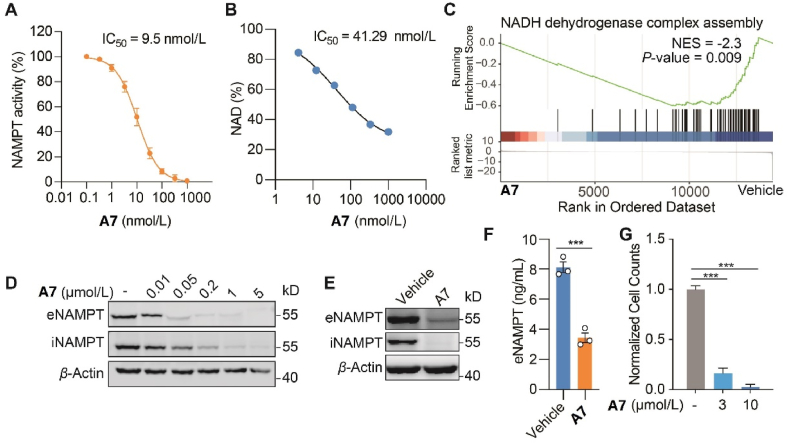 Figure 4