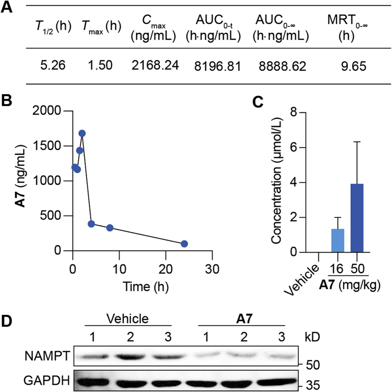 Figure 5