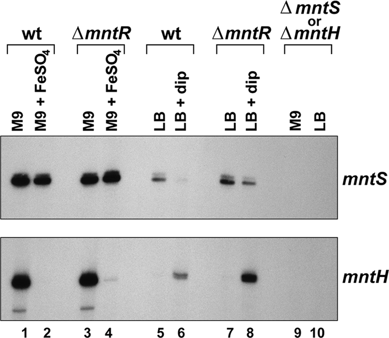 Fig. 3.