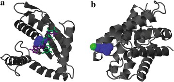 Fig. 8