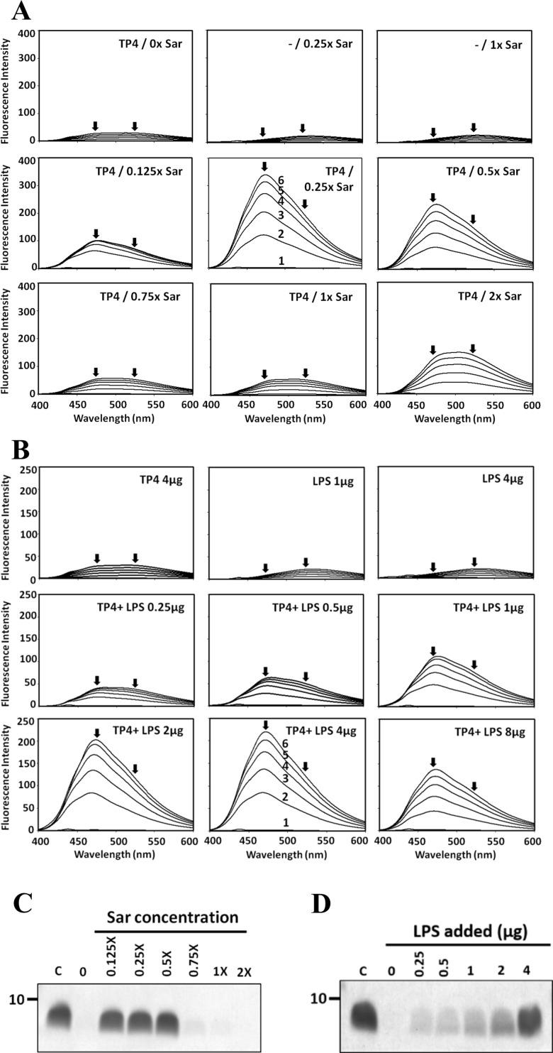 Fig 4