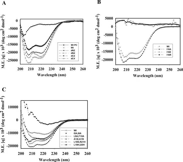 Fig 10