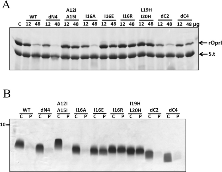 Fig 9