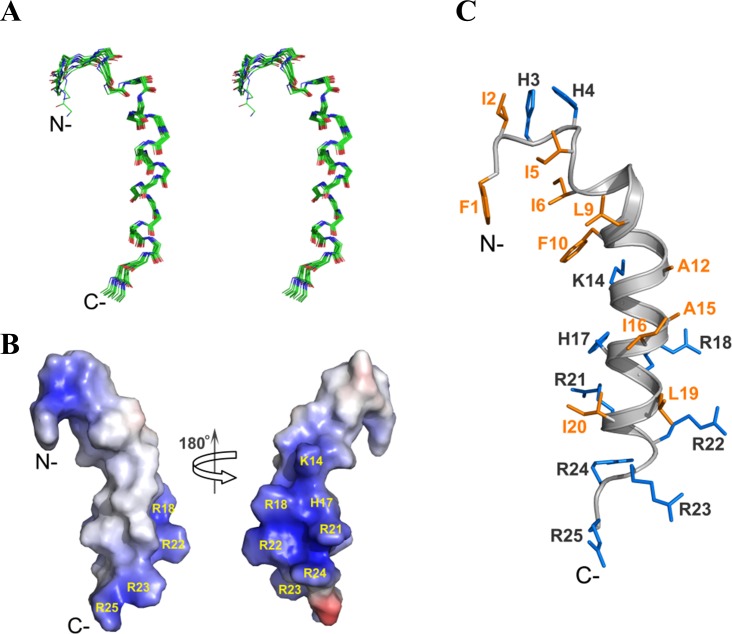 Fig 6