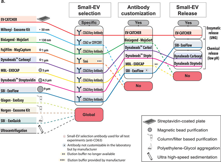 graphic file with name JEV2-10-e12110-g006.jpg