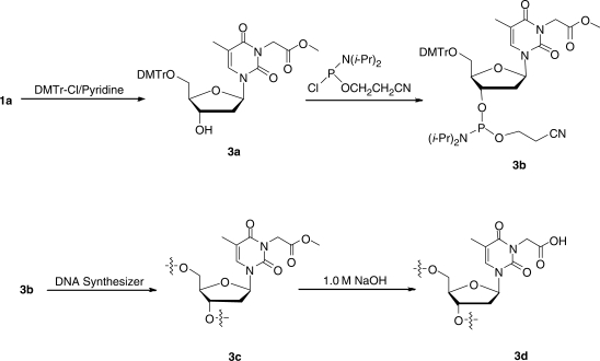 Scheme 3.