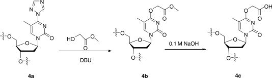 Scheme 4.