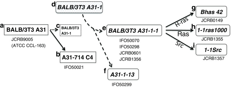 Figure 2.