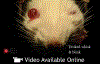 Video Graphic 2.