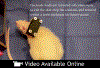 Video Graphic 1.