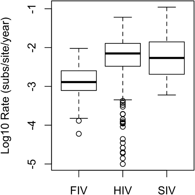 FIG 1