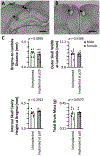Figure 5: