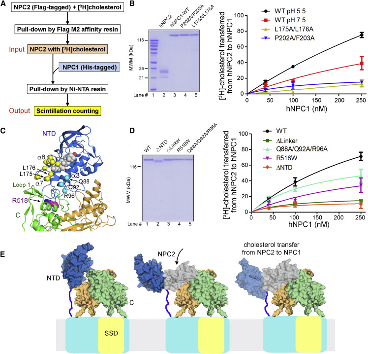 Figure 4