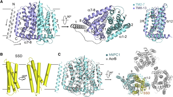 Figure 2