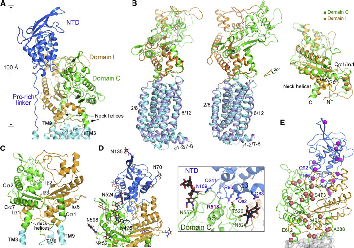 Figure 3