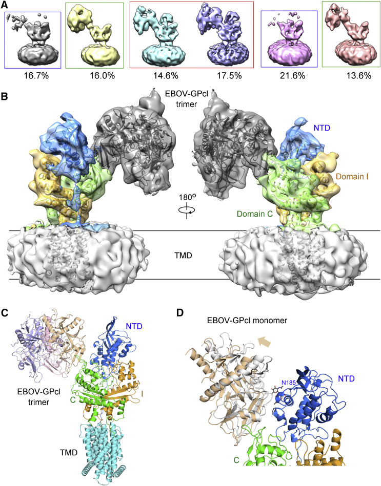 Figure 6