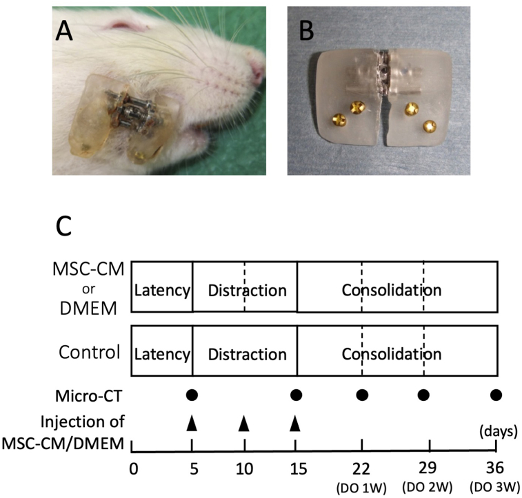 Figure 1