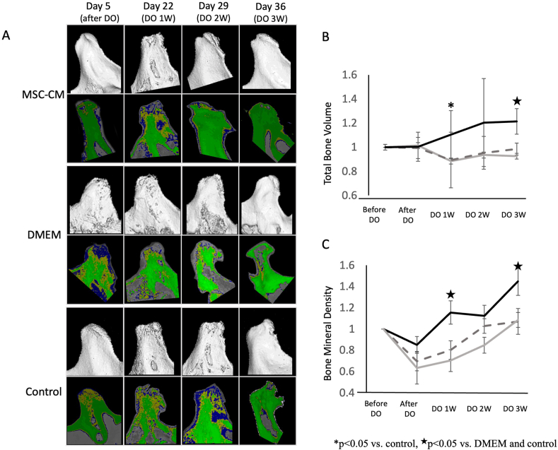 Figure 4