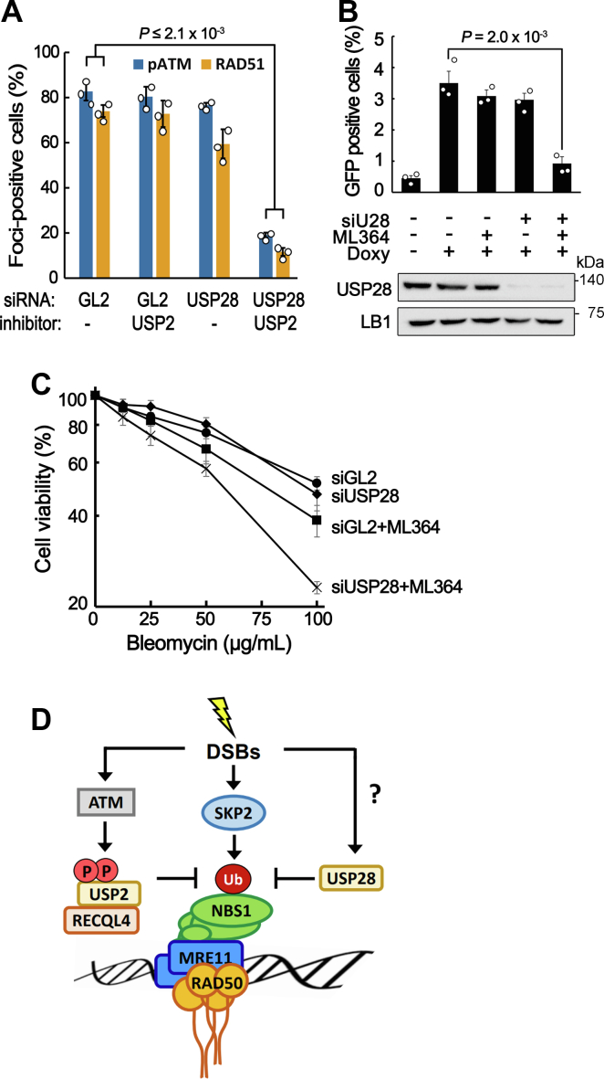 Figure 7