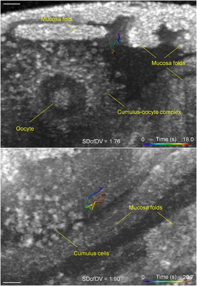 Fig. 6.