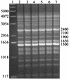FIG. 2.