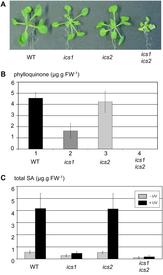 Figure 4.