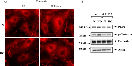 FIGURE 13.