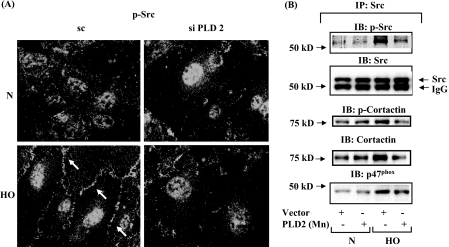 FIGURE 12.