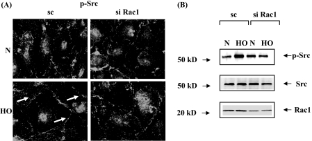 FIGURE 10.