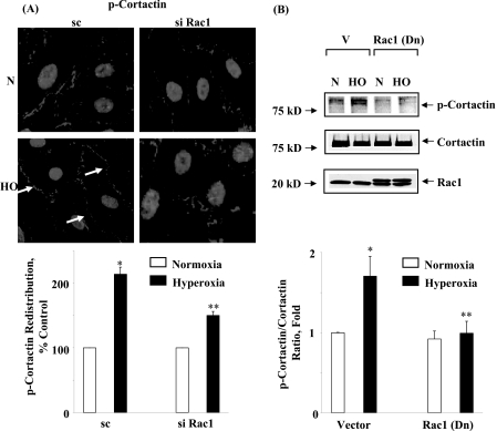 FIGURE 11.