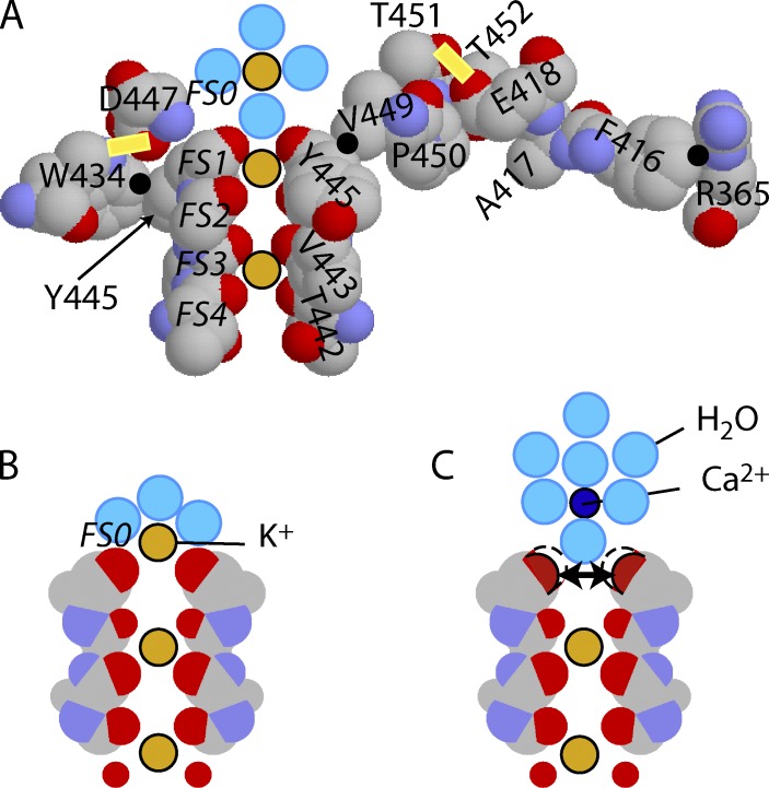 Figure 7.