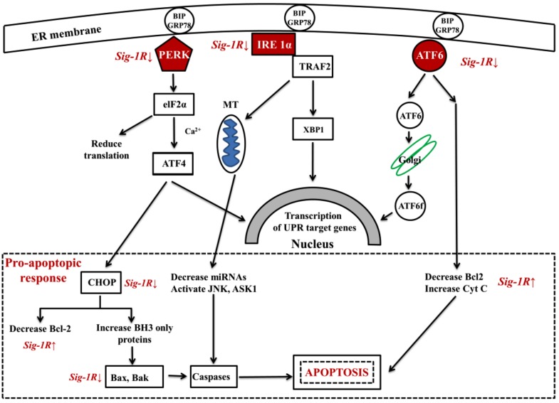 Fig. (1)