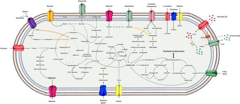 FIGURE 3