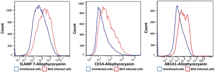 FIGURE 3