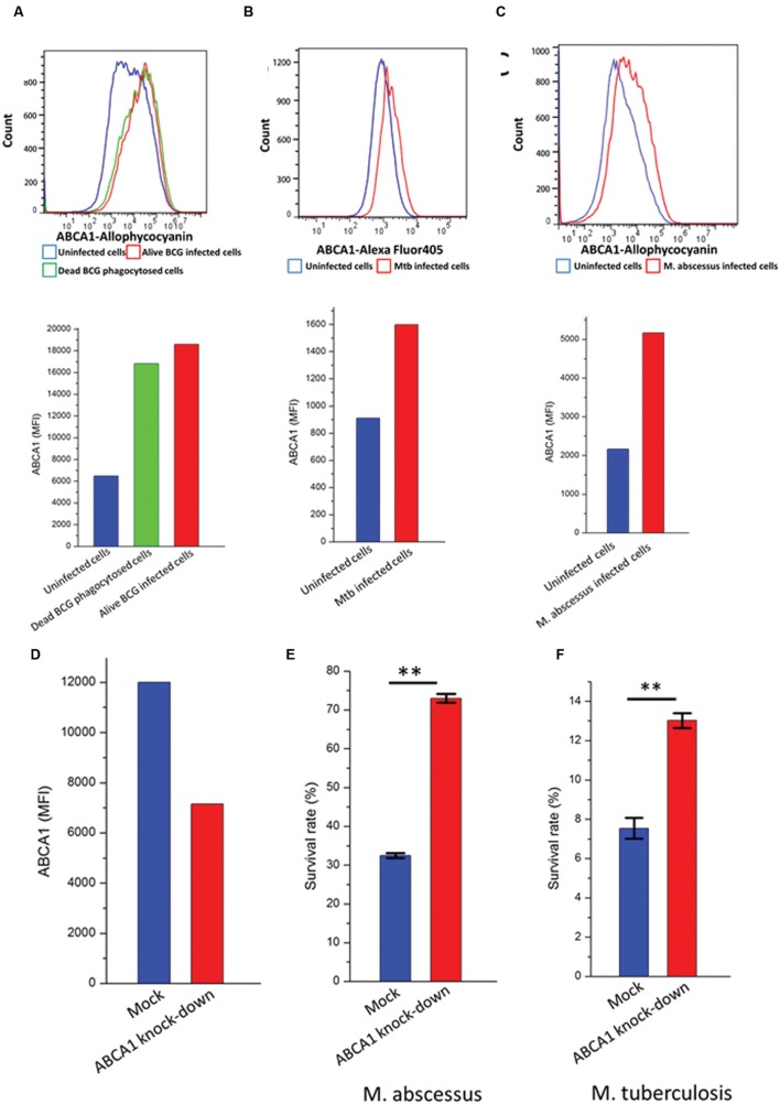 FIGURE 4