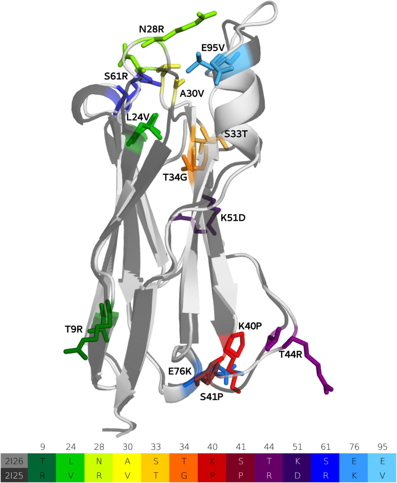 FIGURE 2