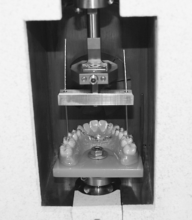 Figure 5. Model inside the GABO Qualimeter Eplexor (GQE). Aligner attached via steel ropes running straight from the first molars through the aligner to the bolting apparatus. The upward displacement force was measured in 10-second intervals until the aligner was removed from the model.