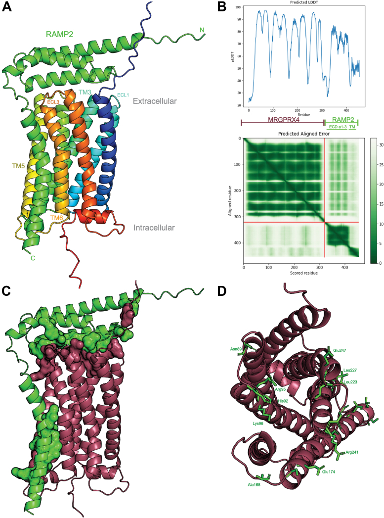 Figure 7