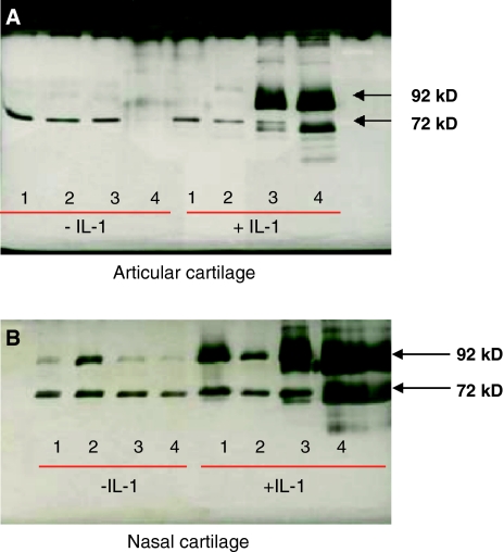 Fig. 8