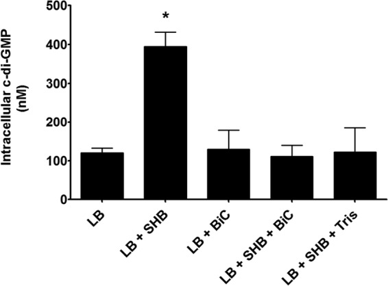 FIG 10