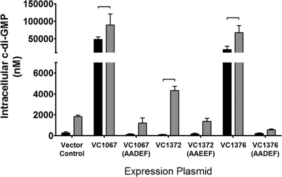 FIG 6