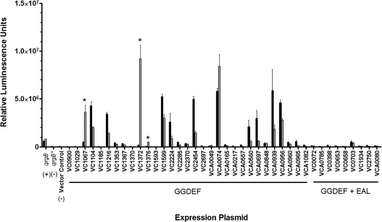 FIG 3