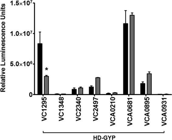 FIG 7