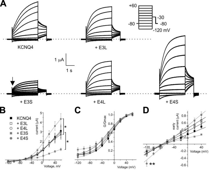 Figure 10.