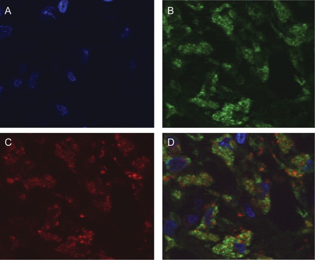 Figure 3.